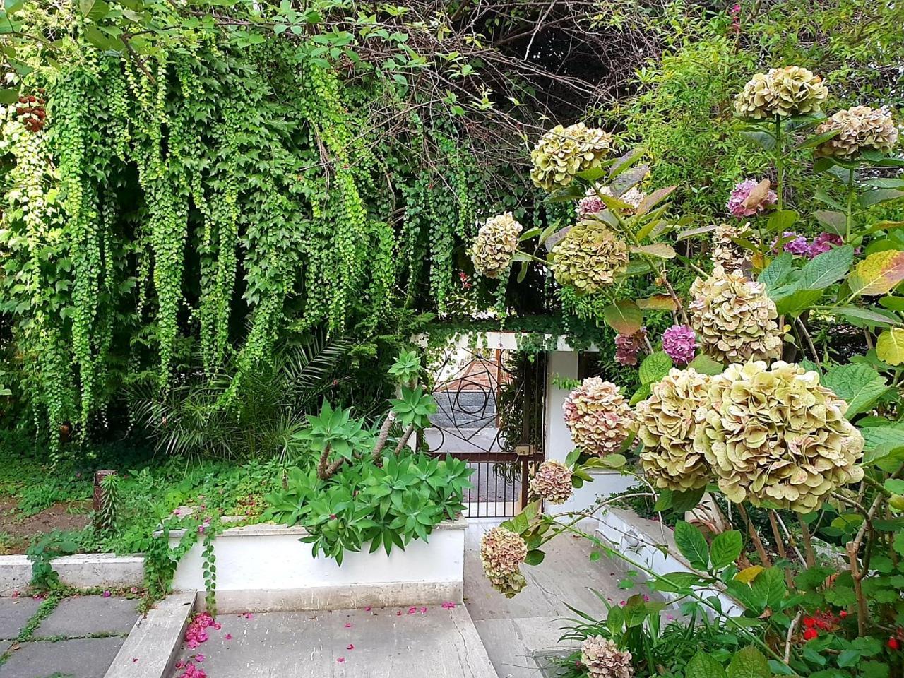 B&B Il Giardino Di Villa Anna Trecase Εξωτερικό φωτογραφία